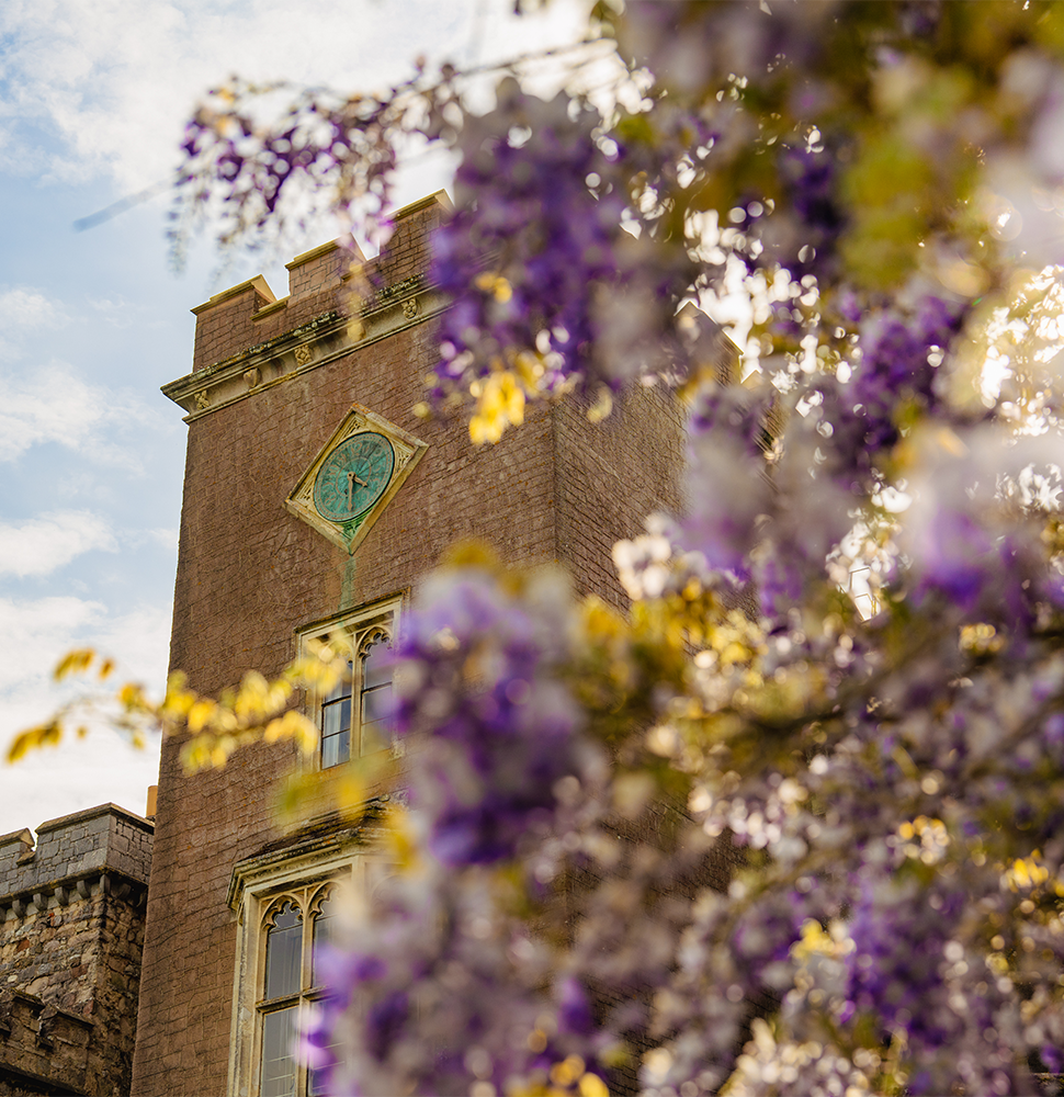 Powderham Castle venue image